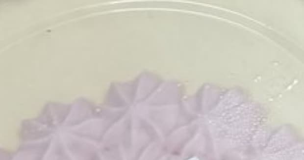 クリスマス前、1人暮らしの夕食は……「エグい」「羨ましいけど」　とんでもない光景に「笑ってしまいました」