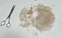 【画像】記事を読む