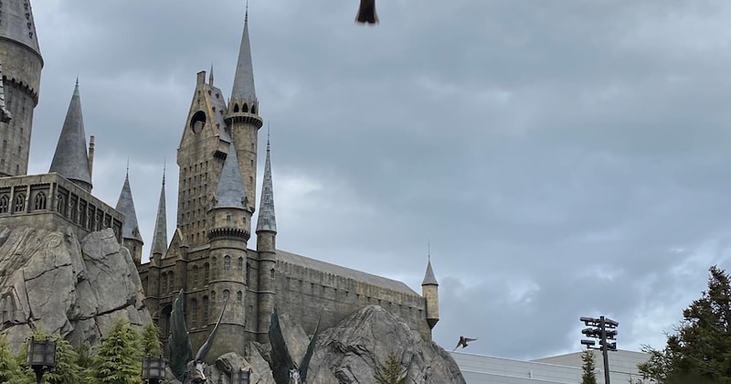 4年前、USJの“ハリポタエリア”で撮った写真→映り込んでいたのは……　正体不明の“謎の生き物”に「どうみてもディメンター」「空飛ぶミョウガ」