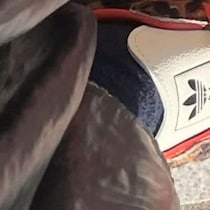 【画像】妻愛用のスニーカー（全体）