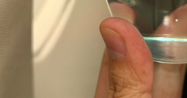 「これ渡されたら……」シンガポール航空の“機内食”に反響「知らん形すぎてびっくり」「こぼさずに飲める人いるの？」