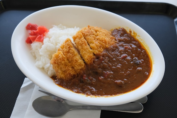 フードコートに欲しい「最強のカレーチェーン」ランキング！　2位は「ゴーゴーカレー」、1位は？