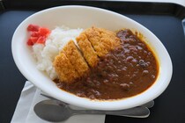 フードコートに欲しい「最強のカレーチェーン」ランキング！　2位は「ゴーゴーカレー」、1位は？