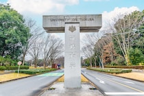 【画像：ランキング16位～1位を見る】