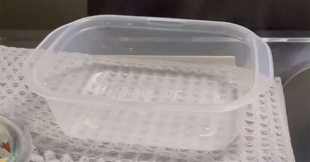 「真似してみます！」1人暮らし会社員が作る“タッパー弁当”　驚きの工夫に「ほんとありがたい」