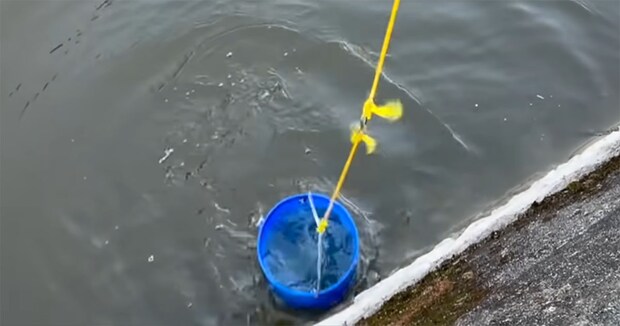 “ドブ川”の水で生き物を飼育→ダイソーのフィルターを使って1週間後…… まさかの光景に「すげー!」「びっくりです」