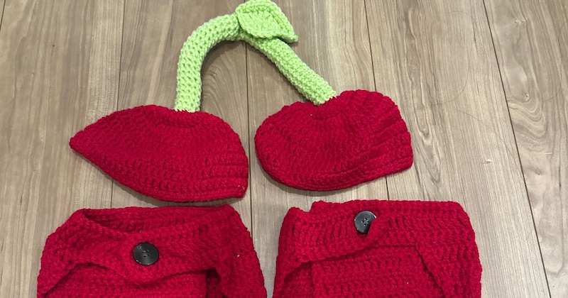 双子に着せたくて買った衣装、機会がなくて諦めていたら…… まさかの展開に「理想と現実w」「思ってたんと違う」