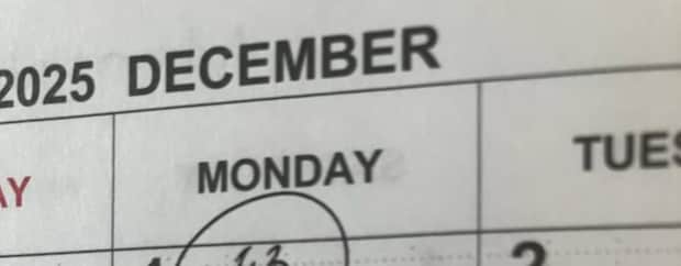 12月の予定を確認しようと手帳を開くと……母「誰か殺したっけ…？」　まさかの光景に「大好きです笑」「夫さんの生存確認を」