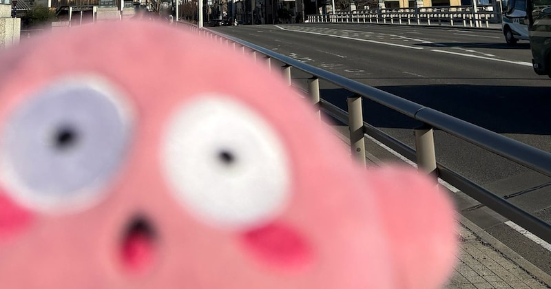 街中でカービィのぬいぐるみを撮っていたら……「大慌てで逃げました」　ヒヤッとする光景が130万表示「持っていかれちゃう」