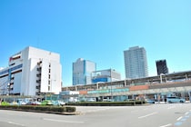 静岡駅の「人気土産」ランキング！　2位は「こっこ（ミホミ）」、1位は？【2025年10月版／JR-PLUS】