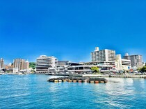 【画像：山口県の「おいしいお土産」10選を見る】