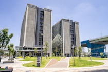 【画像：ランキング17位～1位を見る】