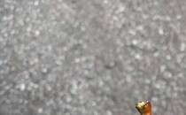 旅先の農園で手渡されたのは……　「待って！」“衝撃の光景”が2000万表示「これ本当に食べられるの？」