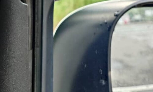 停車中、ふと窓の外を見たら……　「うわっ!!!」“絶叫級”の光景が150万表示「日本で？」「お疲れだったのでしょうか」