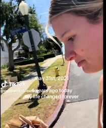 【動画】子猫のビフォーアフター