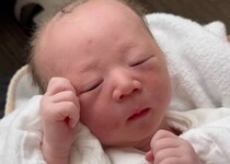 【画像】記事を読む