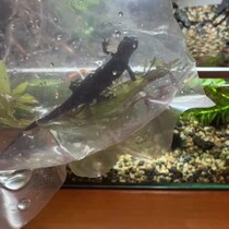 【画像】2年半たった現在の様子