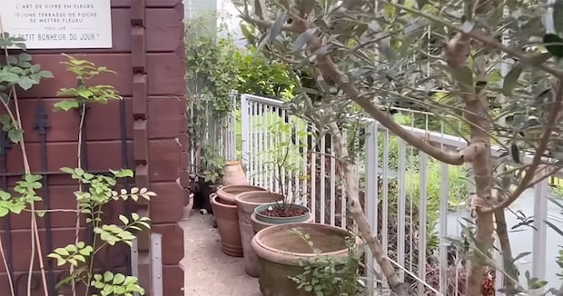 不要な鉢が丸見えの庭→夫妻の“目隠しDIY”で大変身！　見違える光景に「ほれぼれします」「スッキリと良い感じ」