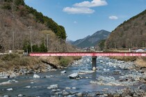 【画像：ランキング16位～1位を見る】