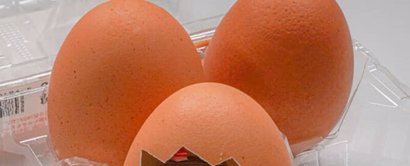 「卵の中にたまごっち作りました」→“まさかの発想”のミニチュア作品が話題 徹底的な作り込みに「うわあああああ」「商品化して」