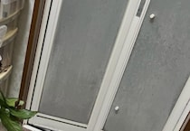 脱衣所に観葉植物を飾ってみると……「そこに引っ掛けるセンス」→見れば絶句のまさかの光景に「アグレッシブ」「大胆ですばらしい」