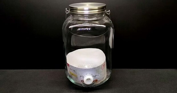 ダイソーのドリンクディスペンサーに、熱帯魚を入れると…… 目からウロコな“大発見”に「コレは素晴らしい」「やってみよう」