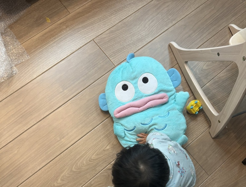 「ハンギョドン」を持ってきた1歳息子→なぜかママの足元を指し……? “まさかの理由”に「かわいいいいいいい!!!」