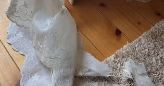 帰宅したら、カーテンがビリビリに→家の中を見渡すと……　90万再生の“あざとすぎる犯人”に「許しちゃう」「たまりません」