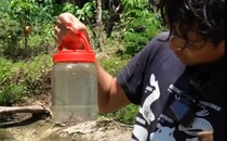 川で“不思議な生物”を捕獲→水槽に入れたら……　「わあああ!!」「すごい」予想外の光景に「驚きました」