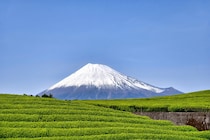 【地元の社会人が選ぶ】永住したいと思う「静岡県の街」ランキング！　2位は「静岡市葵区」、1位は？
