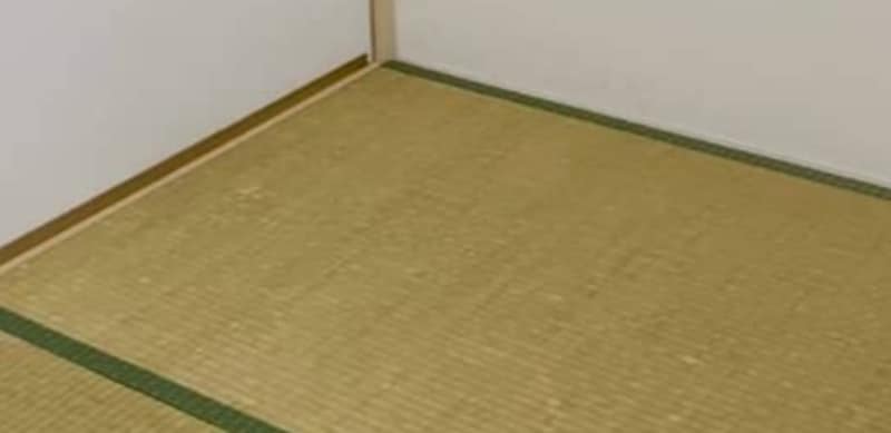 パイナップル風のベビー服を作ったママ、撮影しようと和室を見渡すと…… まさかの光景に「拝みます」「マネさせてくださいー!」