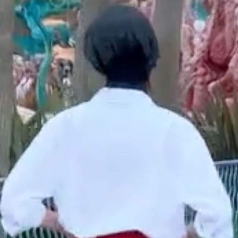 ディズニーで178センチ女性が振り返ると…… 衝撃の姿に黄色い悲鳴「死にかけた」「本物すぎん!?」