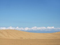 【東海地方在住者が選ぶ】もっと人口が増えるべきだと思う「都道府県」ランキングTOP23！　第1位は「鳥取県」【2025年最新調査結果】