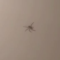 【画像】思わぬ救世主の正体