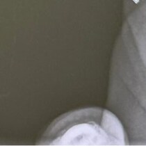 【画像】記事を読む