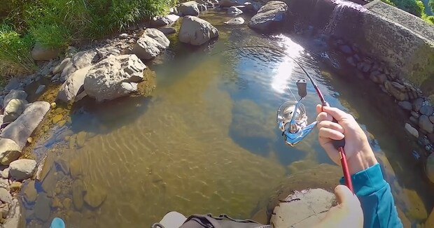 川の岩下に、釣り糸を垂らしてみたら……「すごい」 隠れていた“驚きのヌシ”に「最高」「ワクワクする」