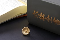 【画像：ランキング11位～1位を見る】