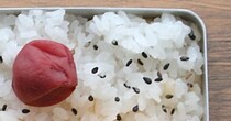 「おかずは2品！」　女性が作った“たったそれだけのお弁当”→開けると……「こういうのがいいんだよ」「これこそ幸せ！」