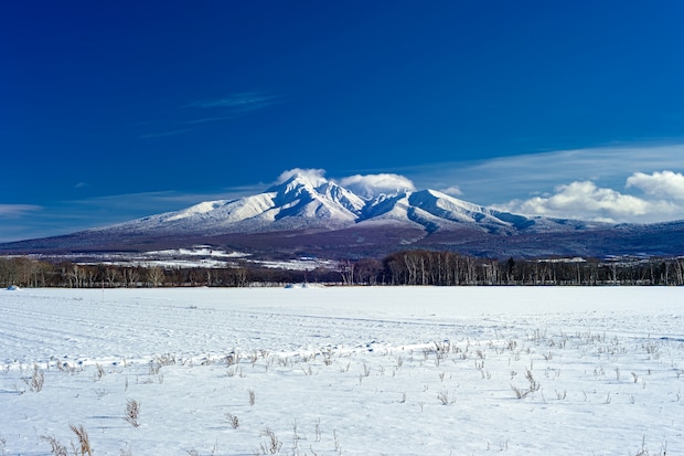 【関東在住者に聞いた】ここにしかない魅力があると思う「都道府県」ランキング！　2位は「沖縄県」、1位は？