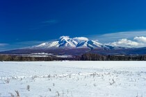 【関東在住者に聞いた】ここにしかない魅力があると思う「都道府県」ランキング！　2位は「沖縄県」、1位は？