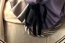 【画像】横から見る