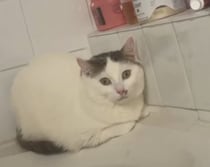 【画像】まさかの姿