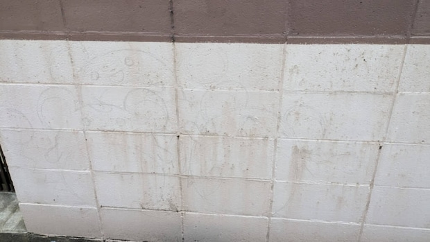 家の壁に“ポケモン”を描きはじめて、半年後…… ついに完成した“愛あふれる作品”に「最高」と反響 1年後、投稿者に話を聞いた