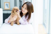 【女性に聞いた】老後に飼いたいと思う「犬種」ランキングTOP25！　第1位は「柴犬」【2025年最新調査結果】