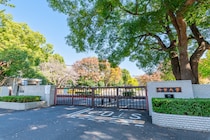 【画像：ランキング16位～1位を見る】