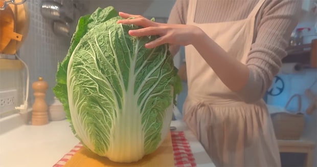 “顔よりも大きい”立派な白菜→まるごと1玉使い切れる簡単レシピに「冬の定番になりそう」「悩んでました！」