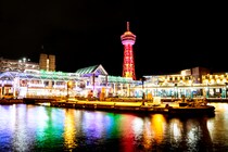 【画像：ランキング12位～1位を見る】