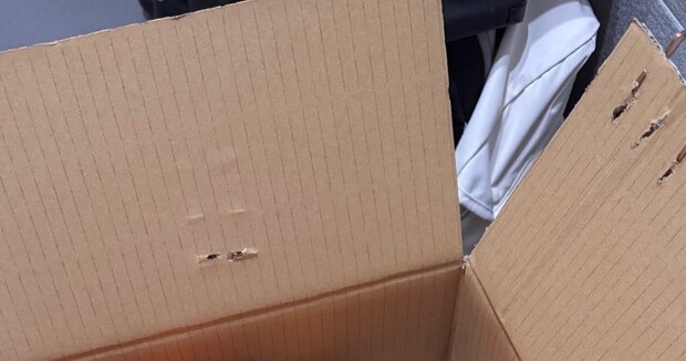 「こ、これは！！」　実家の母から送られてきた段ボール→開けると……　娘絶叫の“まさかの光景”に「なんと微笑ましい」