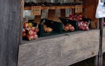 青森県の無人販売所、引きで見ると……「最強」→まさかの光景に「盗れるものならとってみろ」「お金払っててもドキドキ」