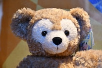 「開封できないよこれ～！」東京ディズニーシーの最新グッズ、予想外の“パッケージ”にファン悲鳴　「尊すぎ」「買うしかない」